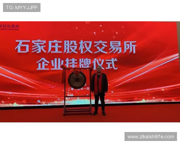 新手必看，凯时首页登录入口的安全性与便利性全面解析