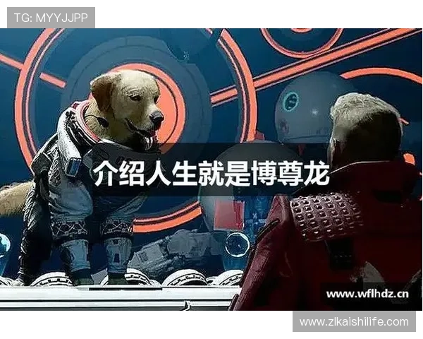 人生就是博尊龙官网网页版：提升生活品质与精神追求的实用策略